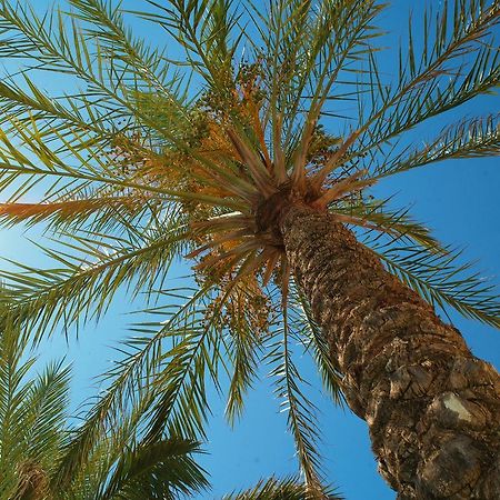 Kallitsakis Beach Aparthotel Platanias  Exterior photo